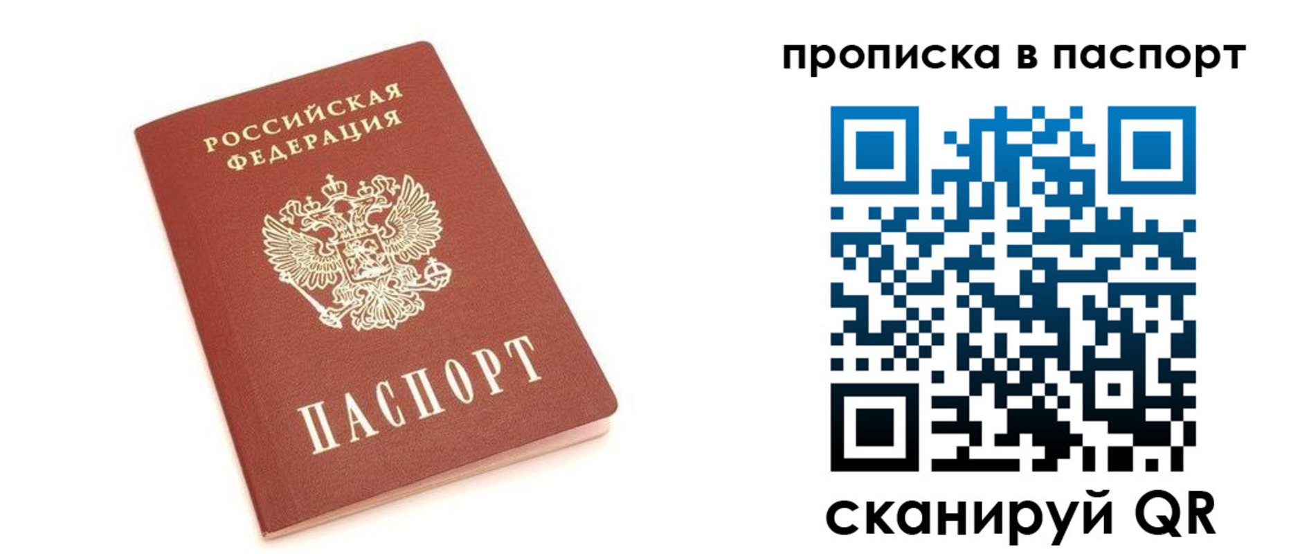 прописка в Петропавловске-Камчатском